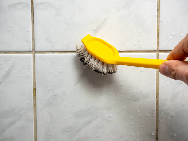Best Water Damage Restoration  in Murphy, NC