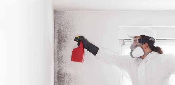 Certified Mold Removal in Murphy, NC