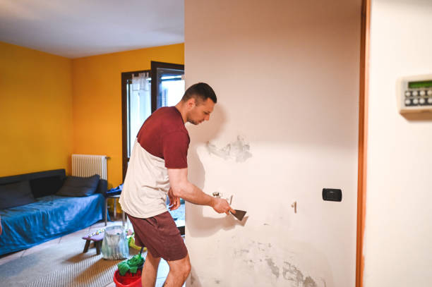Best Mold Remediation  in Murphy, NC